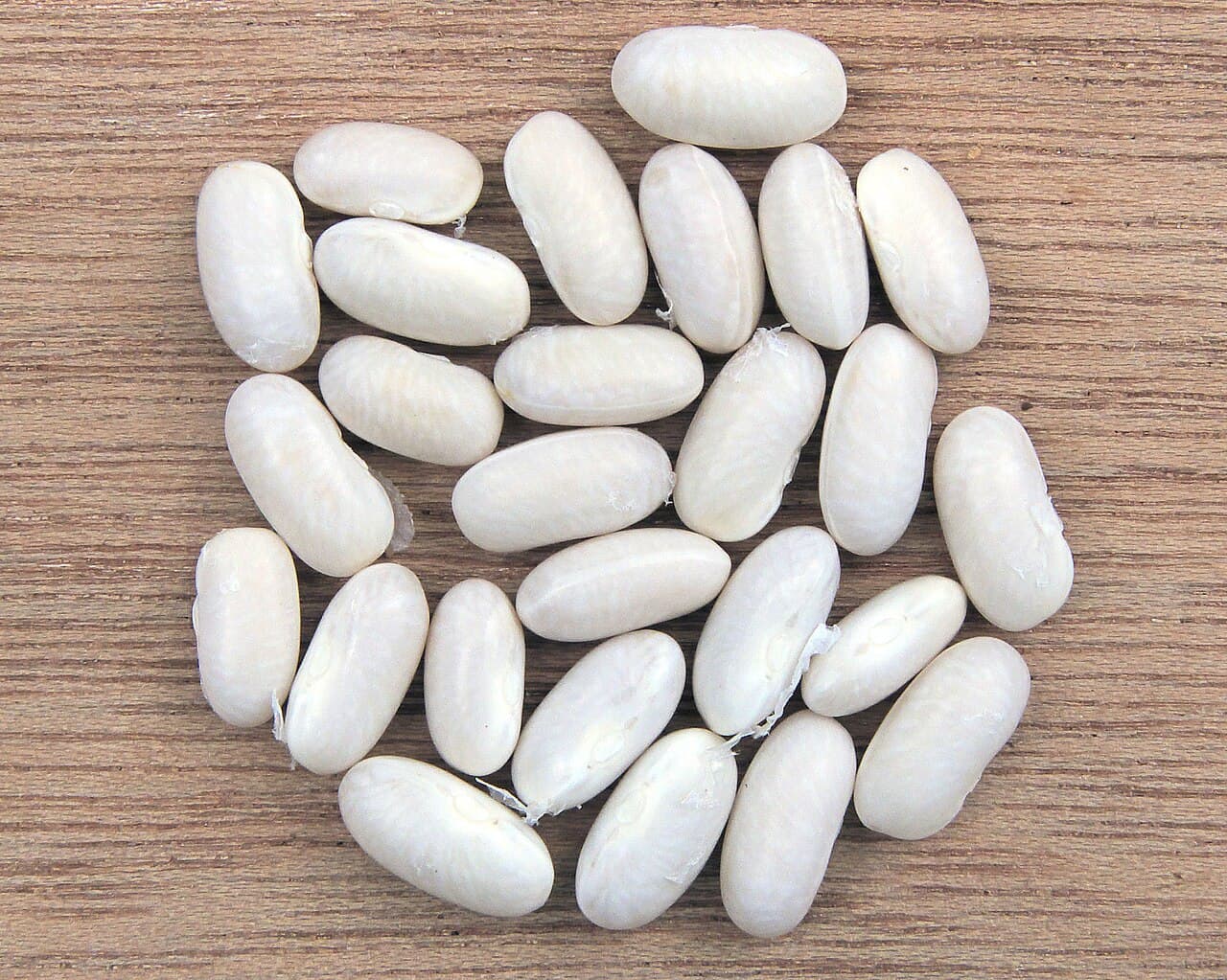 Haricots Teberik d'Akyurt