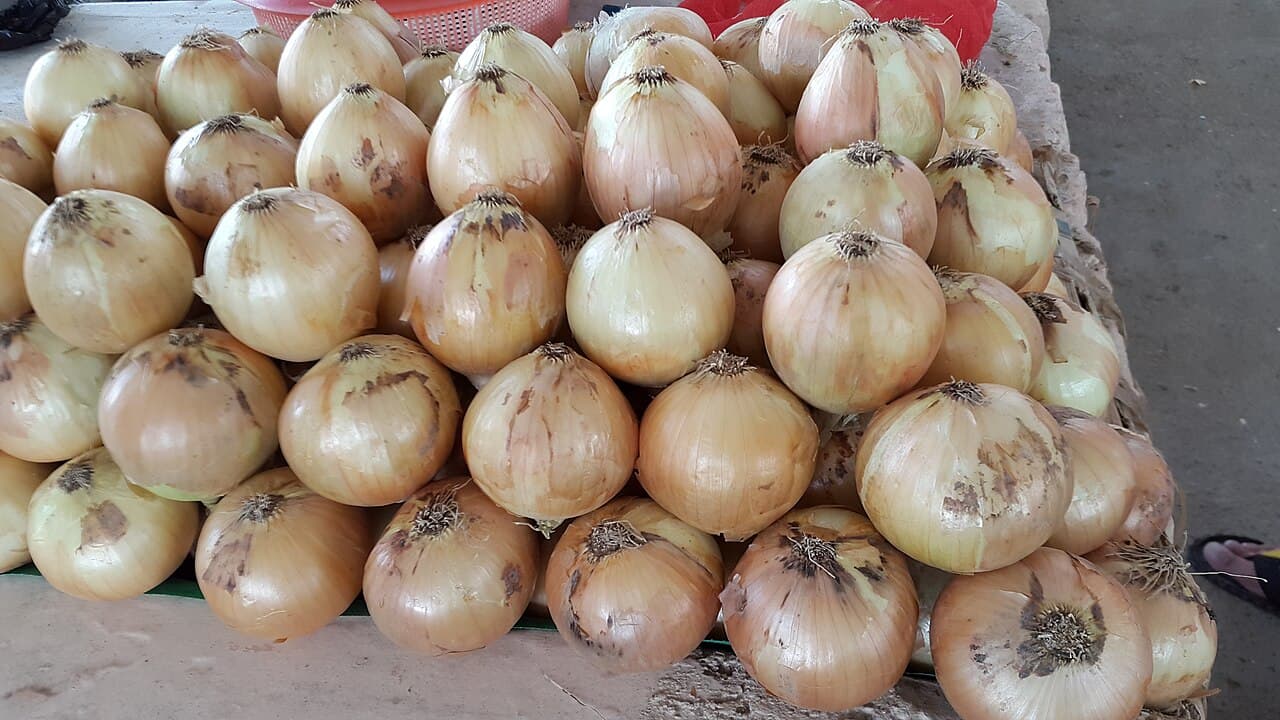 Polatlı Onion