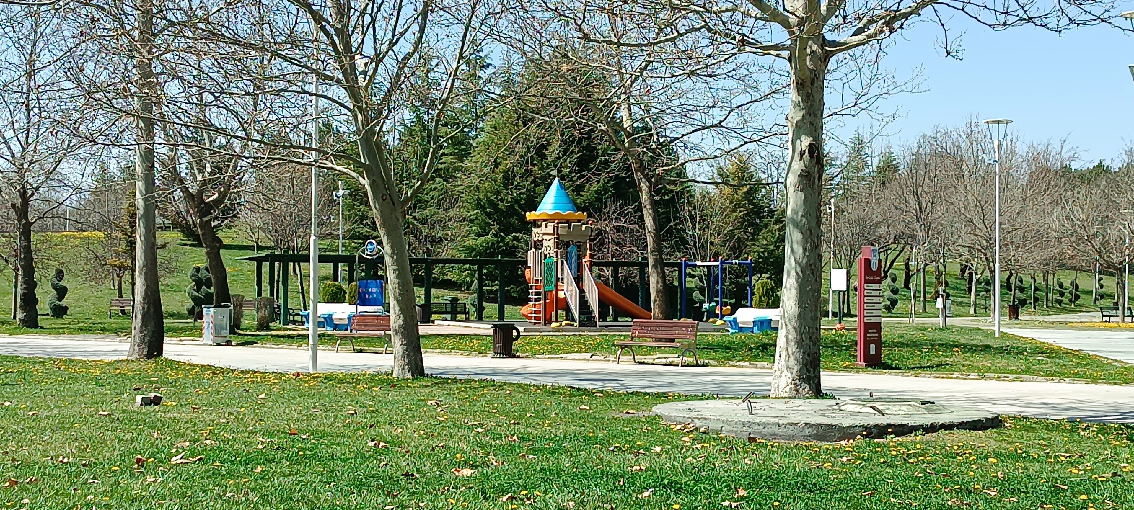 Harikalar Diyarı
