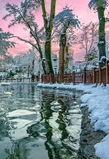 Kuğulu Park