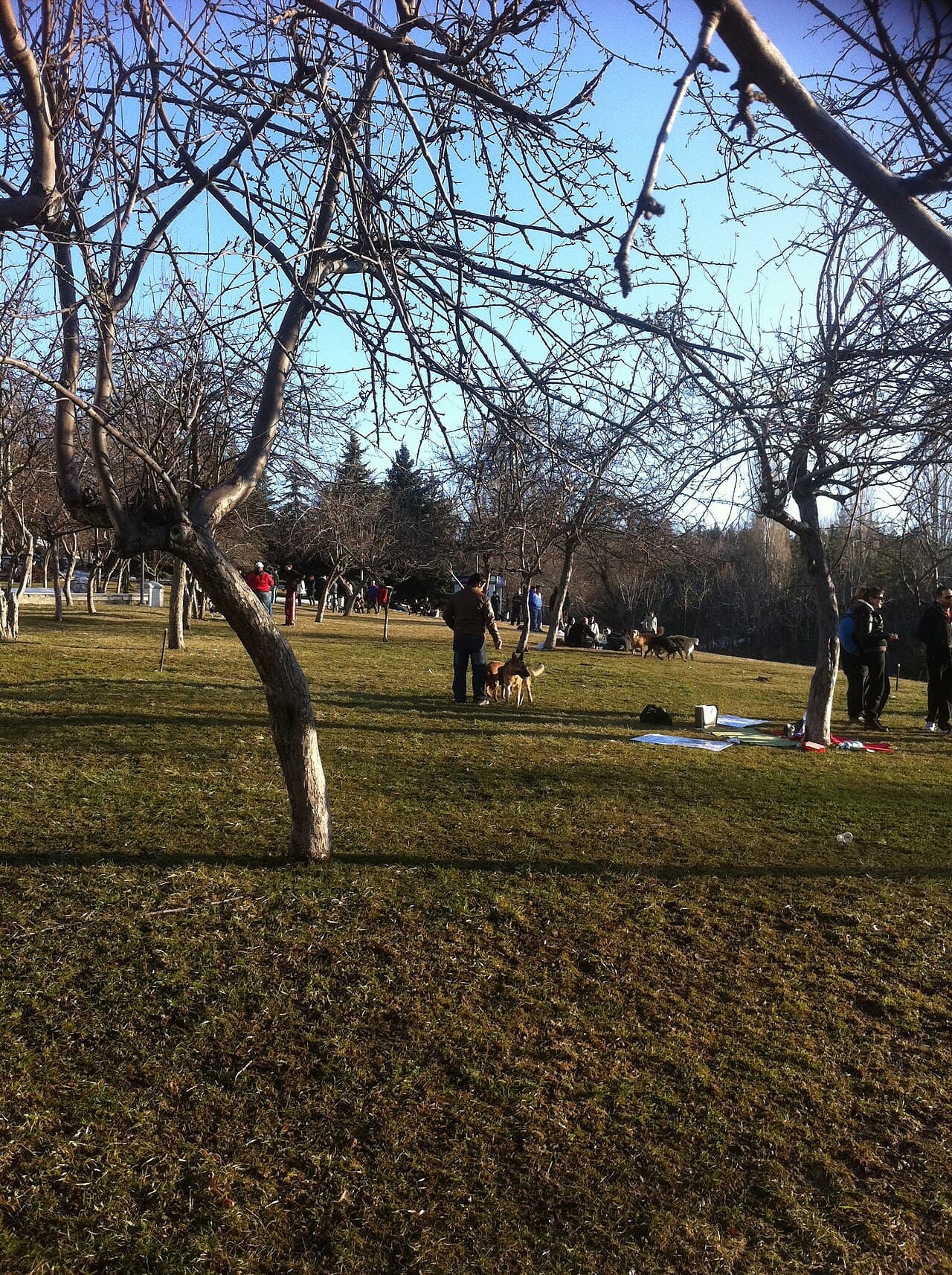 Seğmenler Parkı